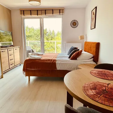 Zlote Piaski -jacuzzi, Sauny, Silownia, Sala Zabaw, Do Plazy 400m Apartment Jastrzębia Góra